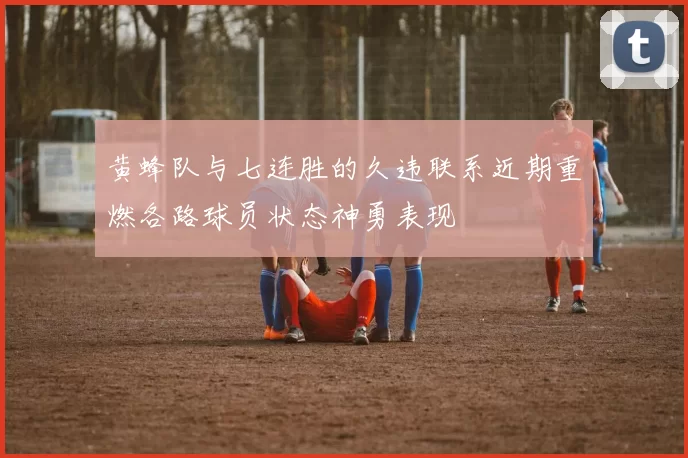 黄蜂队与七连胜的久违联系近期重燃各路球员状态神勇表现