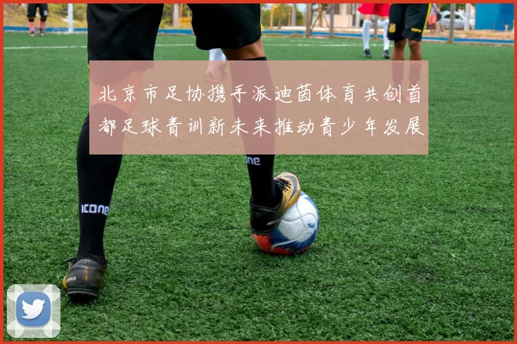 北京市足协携手派迪茵体育共创首都足球青训新未来推动青少年发展与足球事业繁荣